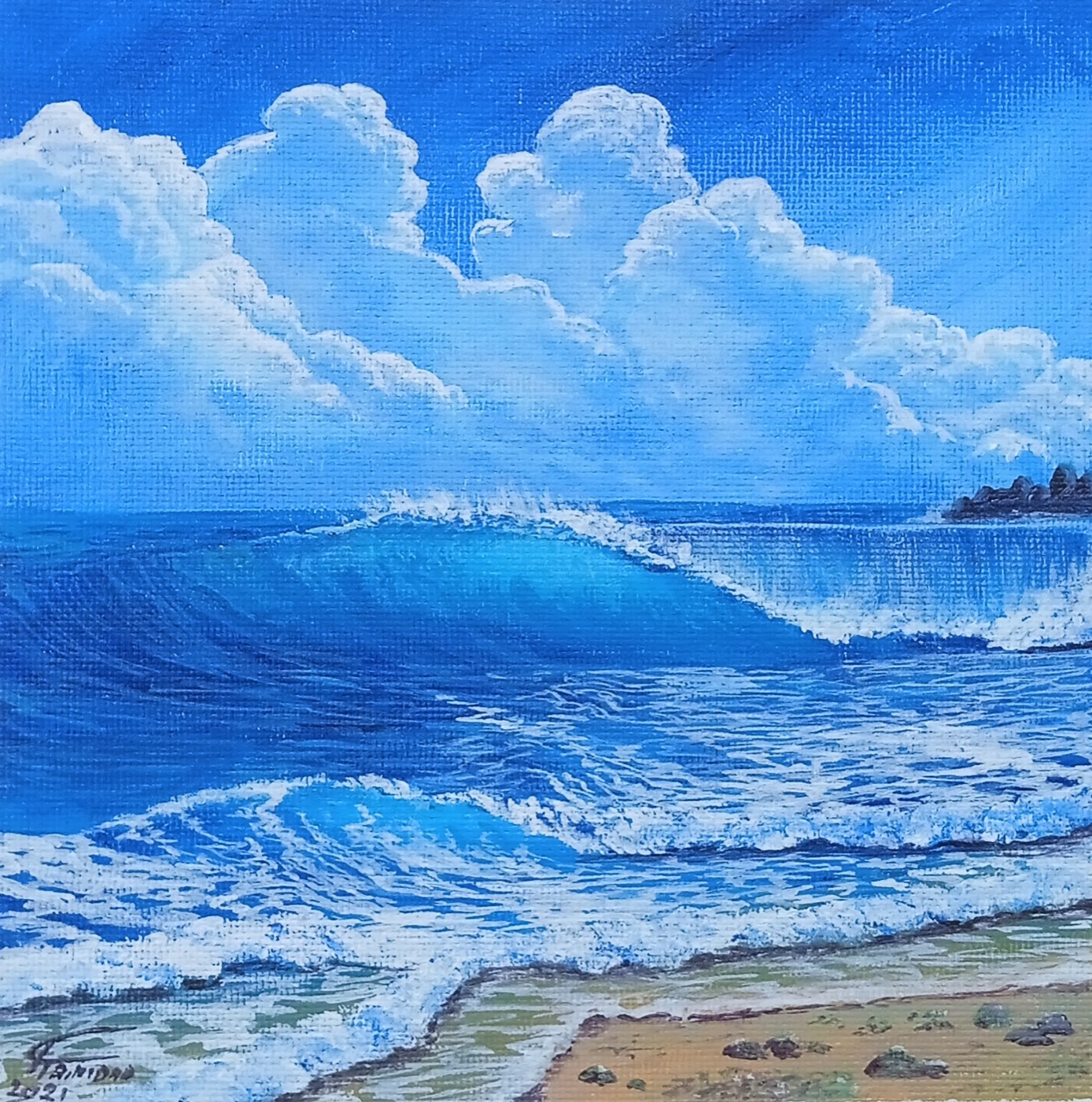 Paraíso azul — Fabián Trinidad